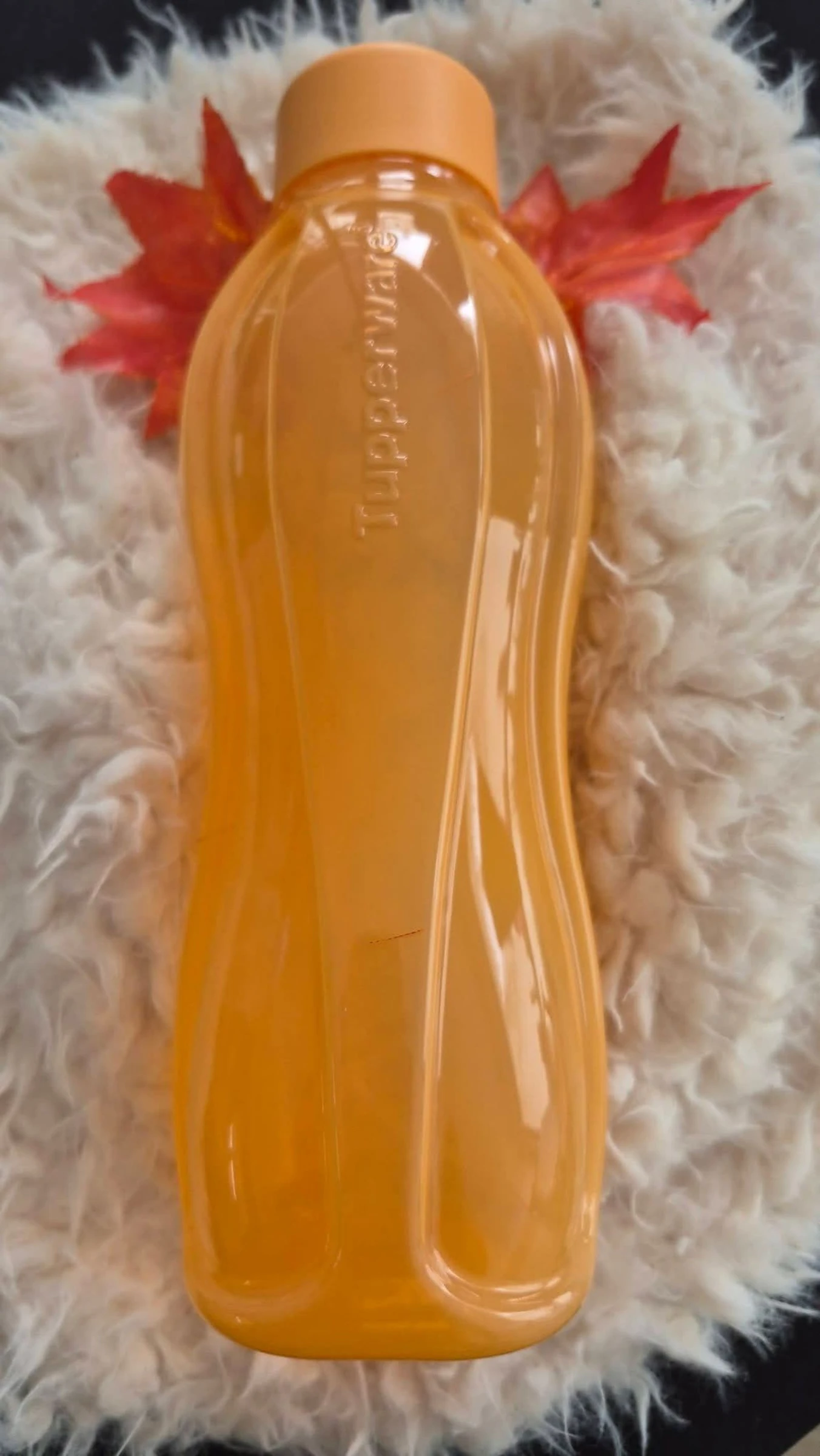 Garrafa 1l 